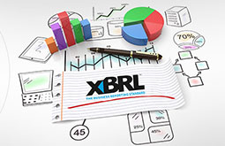 inline xbrl tagging rules