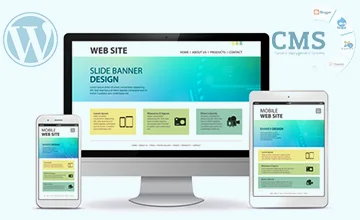 CMS website designing