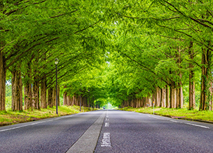 Video Perspective Correction