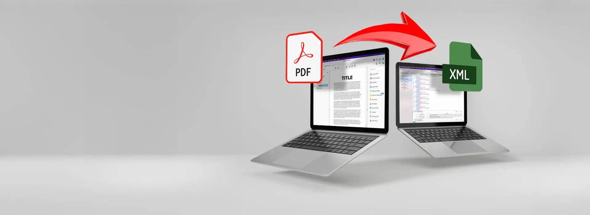 PDF to XML Conversion Services