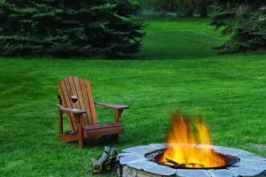 fire effects in lawn replacement