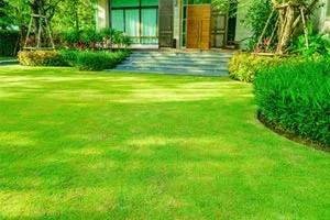lawn structure reshaping in lawn replacement