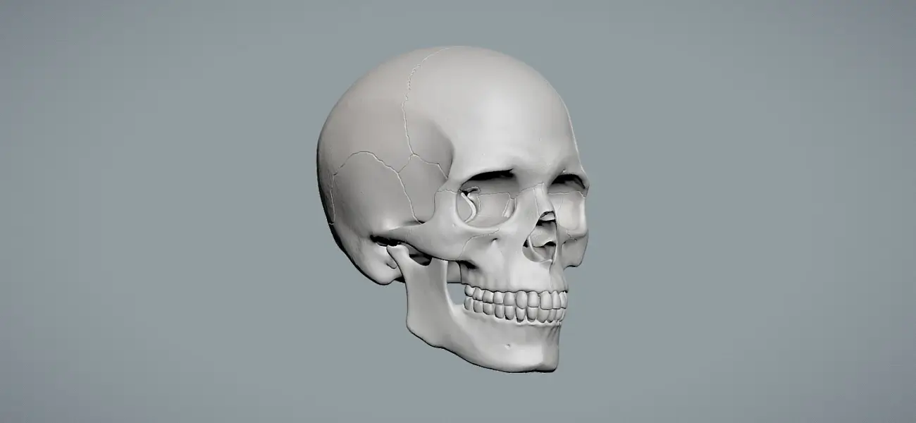 3D sculpting