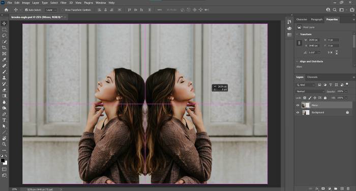 Mirror Image Effect in Photoshop