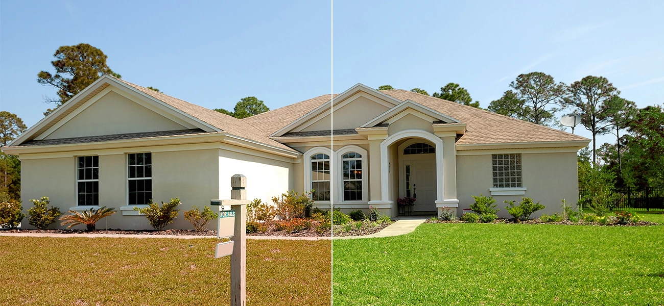 Adjust the hue and saturation for better impact