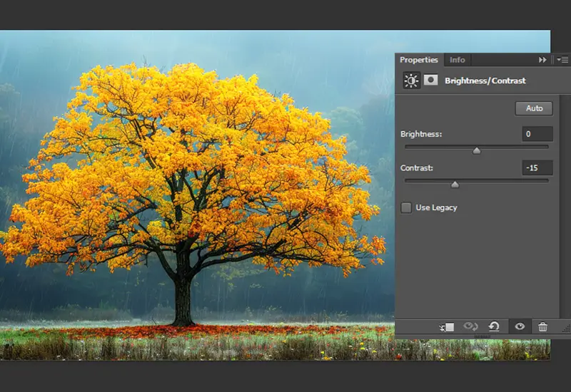 adjusting brightness and contrast