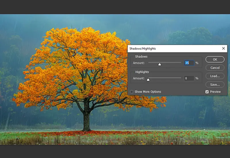adjusting highlights and shadows
