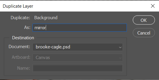 creating a duplicate layer
