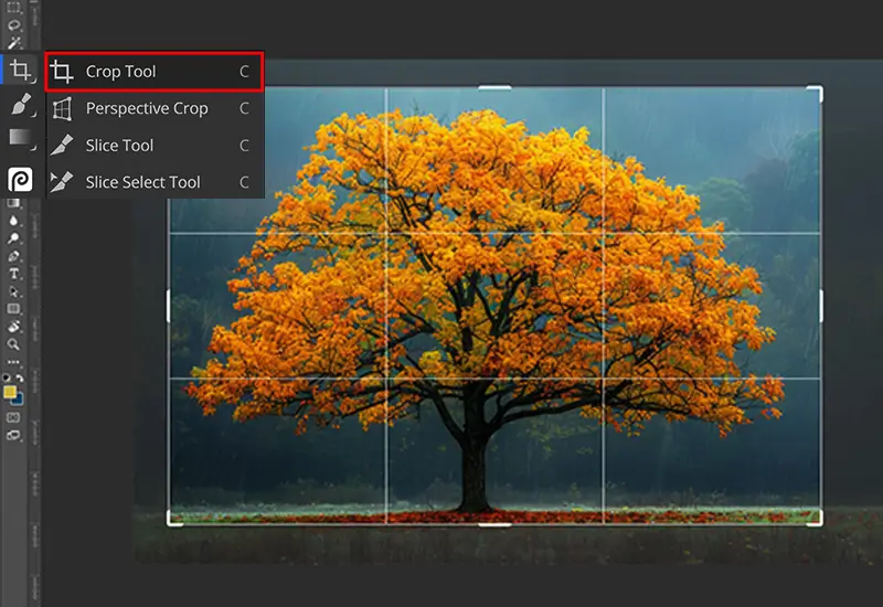cropping for composition