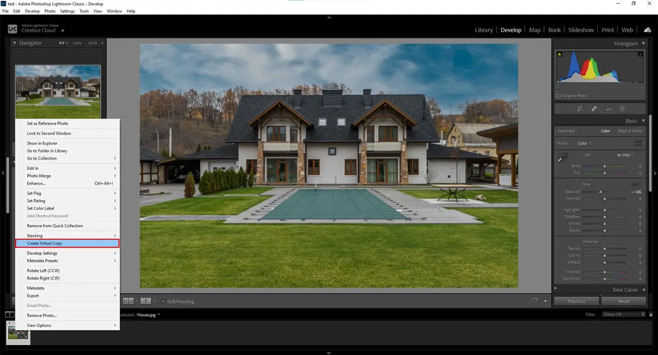 Develop a virtual copy