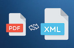 convert PDF to XML