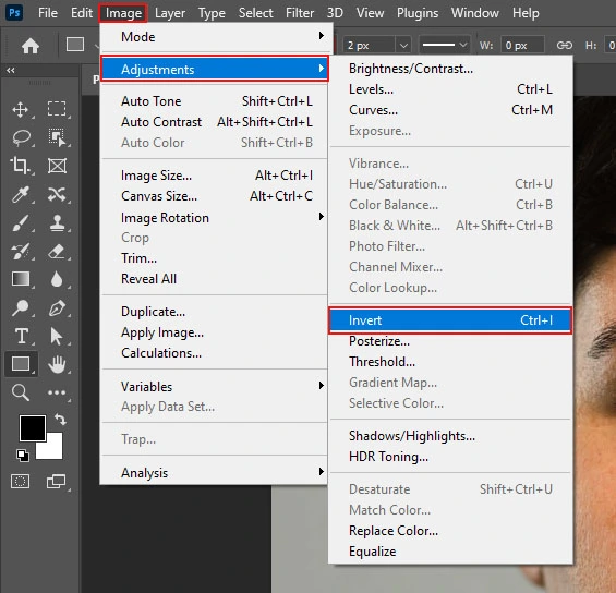 Invert to fill the layer with a black shade