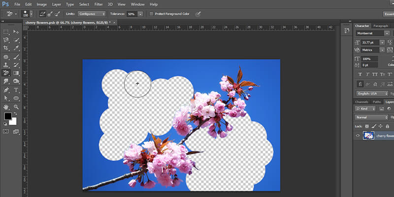 How to Use Photoshop's Background Eraser Tool - MAPSystems