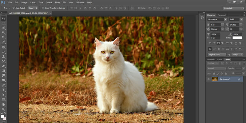 open the desired image in photoshop