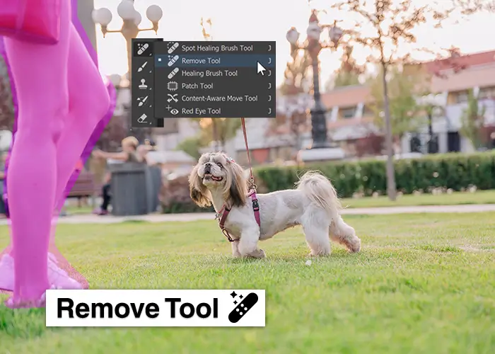 Remove Tool