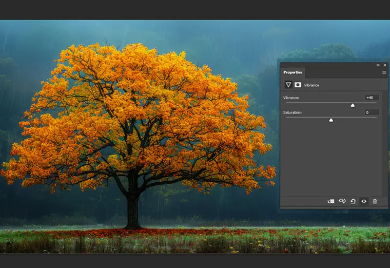 adjusting saturation and vibrance