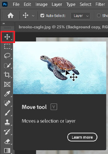 select the MOVE option