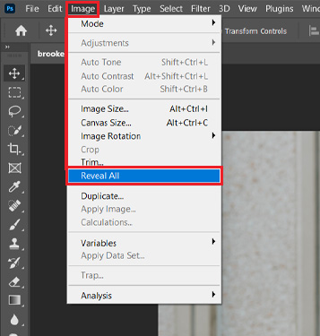The final REVEAL ALL command