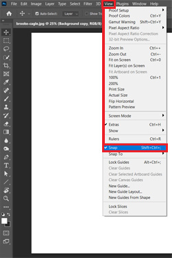 tick mark the SNAP option