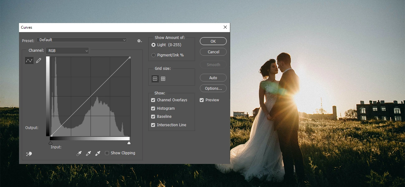 Utilize the Curve Tool